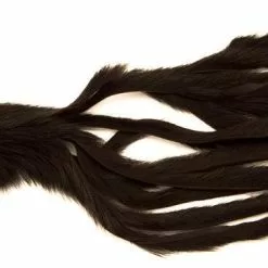 Pine Squirrel Zonker