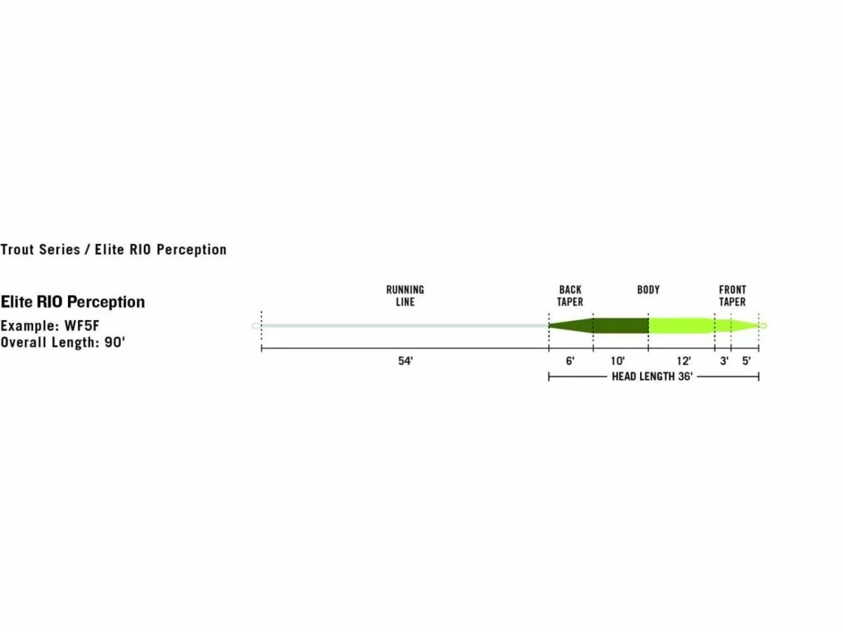 RIO Elite Perception 5 RIO Elite Perception - Bilde 3