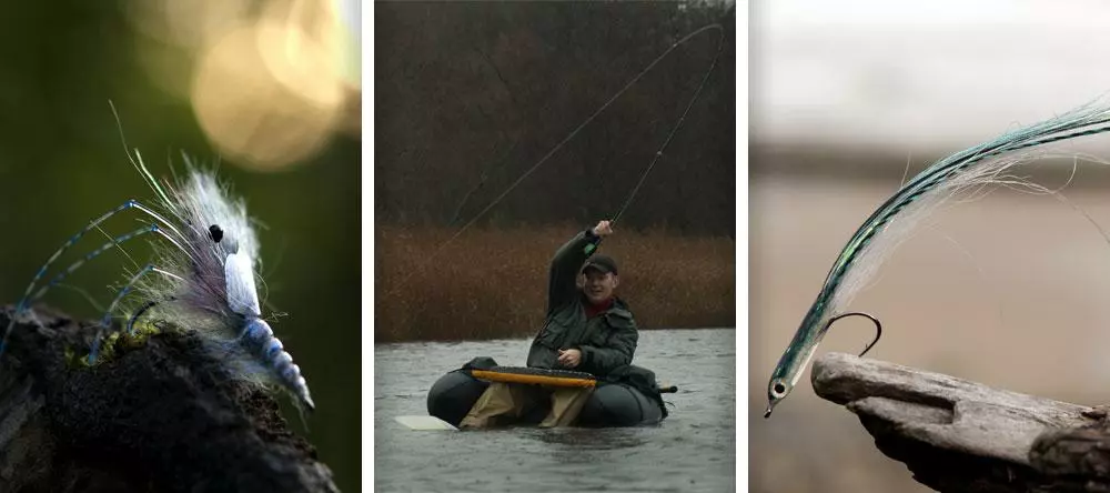 Ahrex NS156 Traditional Shrimp 5 Ahrex NS156 Traditional Shrimp - Bilde 3