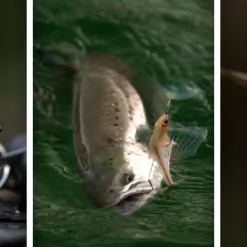 Ahrex NS182 Trailer Hook NS 8 Ahrex NS182 Trailer Hook NS -Billig Fluestenger butikk Nn5KBf 1679033710 48611 909 0 pck