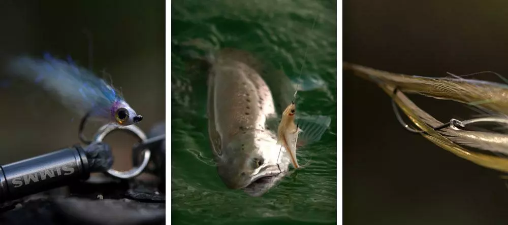 Ahrex NS182 Trailer Hook NS 5 Ahrex NS182 Trailer Hook NS - Bilde 3