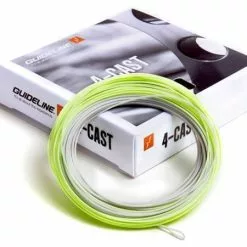 Guideline 4 Cast WF Flyt