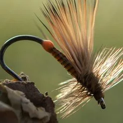 Ahrex FW503 – Dry Fly Light Barbless -Billig Fluestenger butikk eEXc16 1679034073 48631 920 0 pck