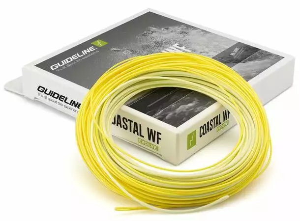 Guideline Coastal Evolve 5 Guideline Coastal Evolve - Bilde 3